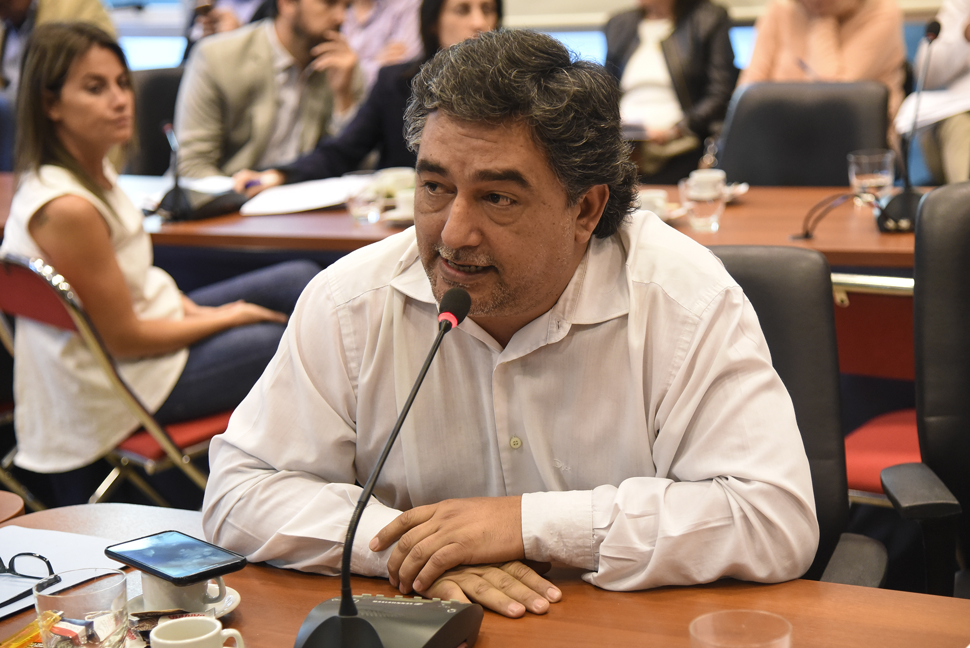 Galeria de imagenes de la noticia VIOLENCIA EN EL FÚTBOL: DEBATEN EL PROYECTO QUE AVANZA CONTRA LAS BARRASBRAVAS